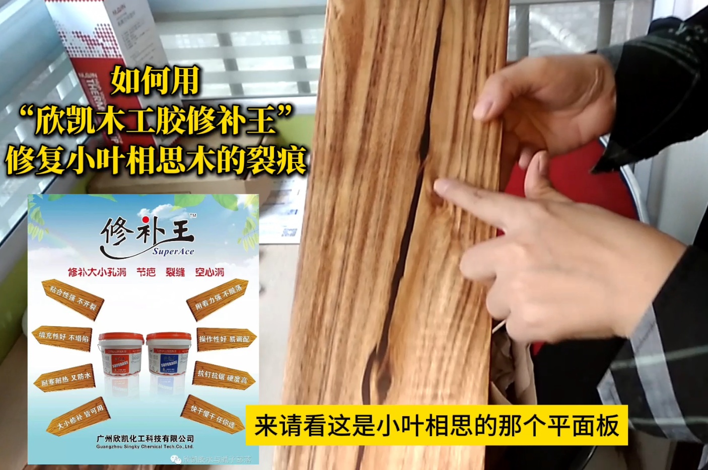 如何用“欣凱木工膠修補王”，修復小葉相思木的裂痕？