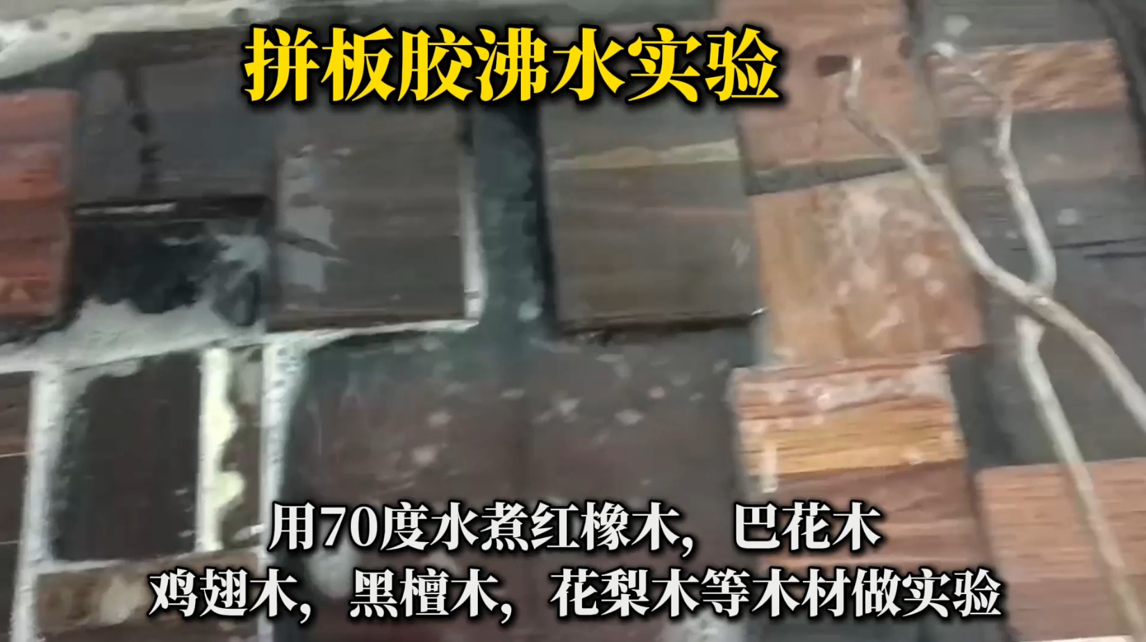 欣凱利拼板膠怎么樣？適合用在什么木材上