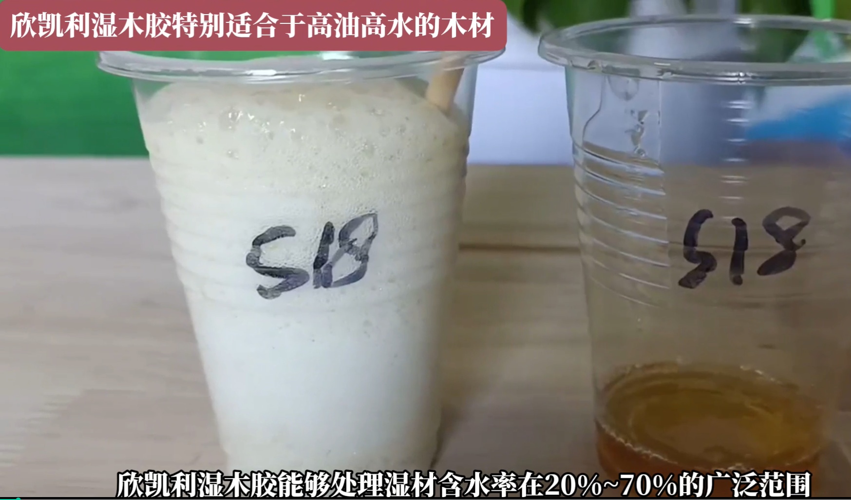 欣凱利濕木膠特別適合于高油高水的木材，快干、快固化